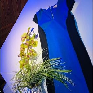 Michael Kors Blue & Black dress size 2